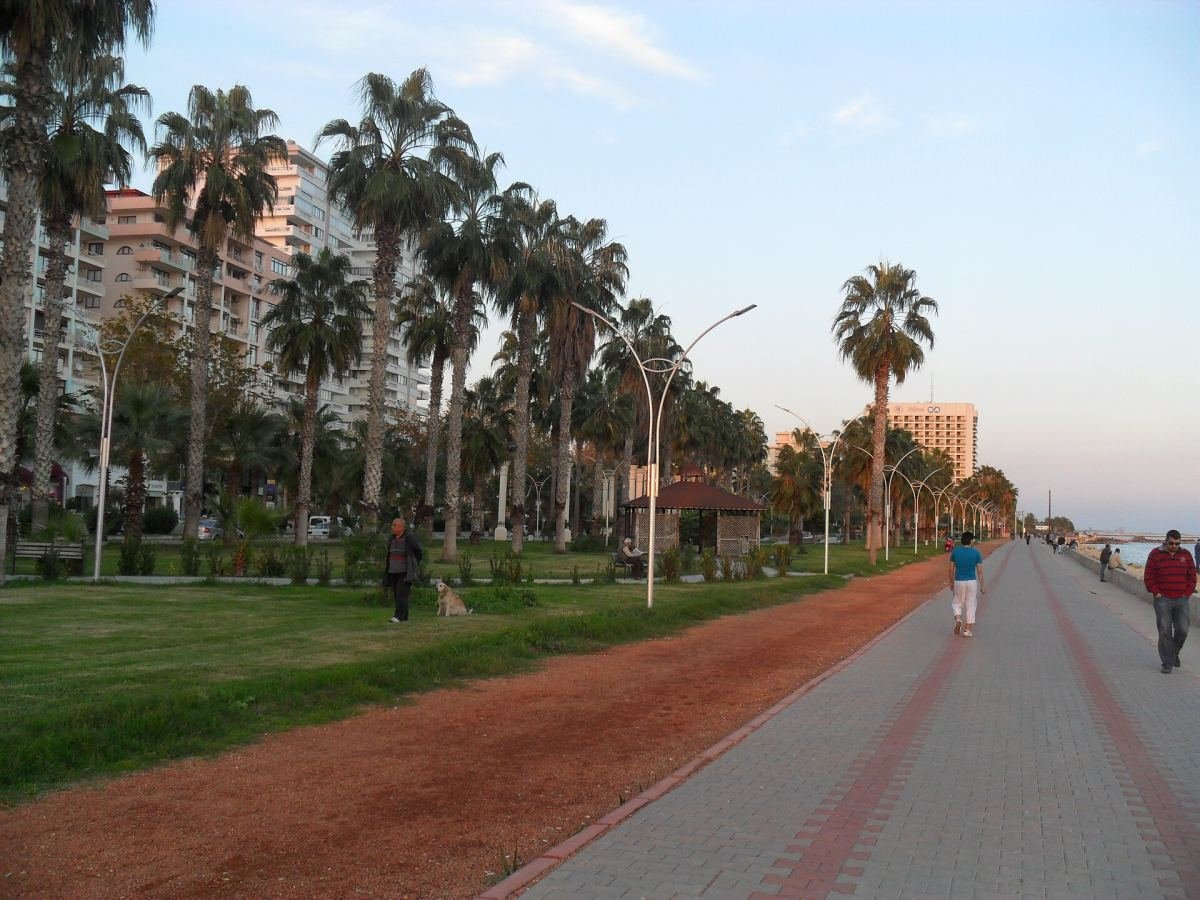 Mersin sahilinde palmiyelerle çevrili yürüyüş yolu ve deniz kenarı parkı